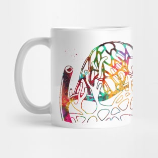 Lymphatic capillaries in the tissue spaces Mug